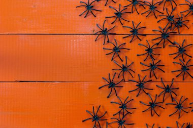 Boyalı turuncu ahşap kurullarında birçok siyah örümcekler.