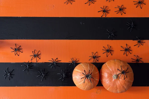 Spiders and pumpkins on a black and orange wooden boards. Backgr — Stock Photo, Image