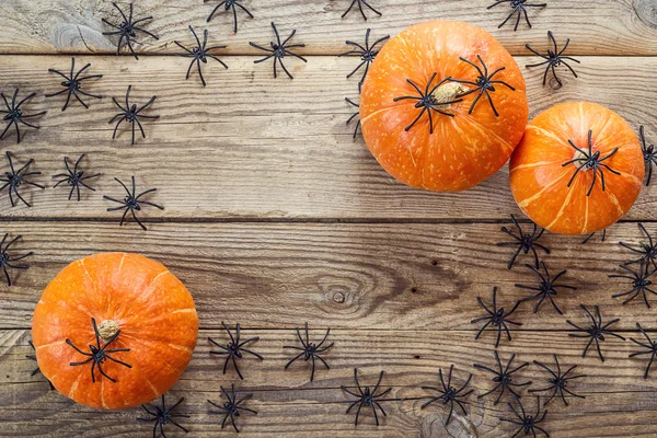 Many black spiders and small pumpkins on the old wooden boards. — Stock Photo, Image