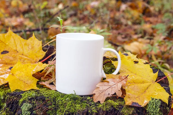 Cangkir kopi putih di tunggul dengan daun jatuh di hutan musim gugur . — Stok Foto