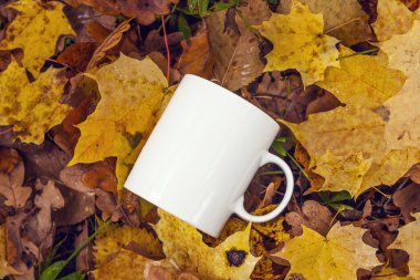Düşen sarı yapraklar arka plan üzerinde beyaz kahve kupa. 