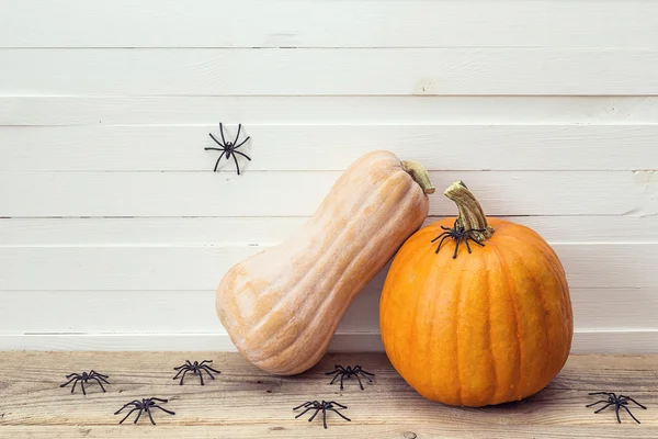 Twee pompoenen met decoratieve spin op een achtergrond van witte boa — Stockfoto