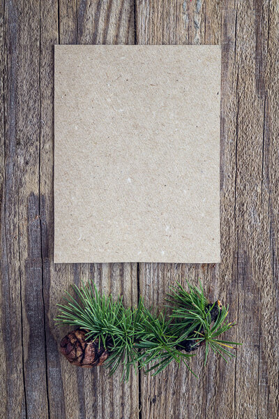 Blank card and larch branch with cone on a background of old boa