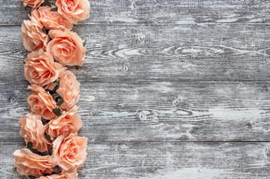 Arka plan ile bir sınır boyalı ahşap kurullarında pembe Gül.