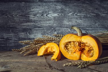 Sivas'tan kesilmiş kabak ve buğday kulaklara ile natürmort. Alan