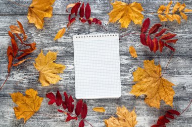 Sonbahar çevrili boş defter gri masada bırakır. SP