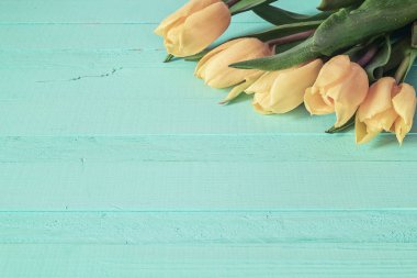 Arka plan mavi painte üzerinde Su damlacıkları ile Sarı laleler ile