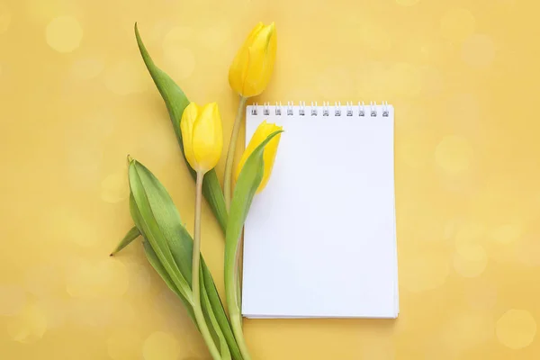Prázdné notebook a žluté tulipány na žlutém podkladu. Místo f — Stock fotografie