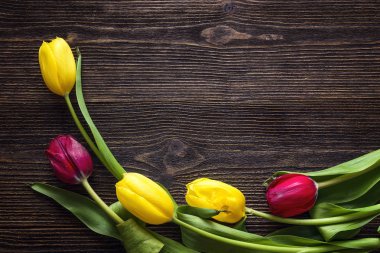 Laleler koyu ahşap arka plan üzerinde. Metin için yer.