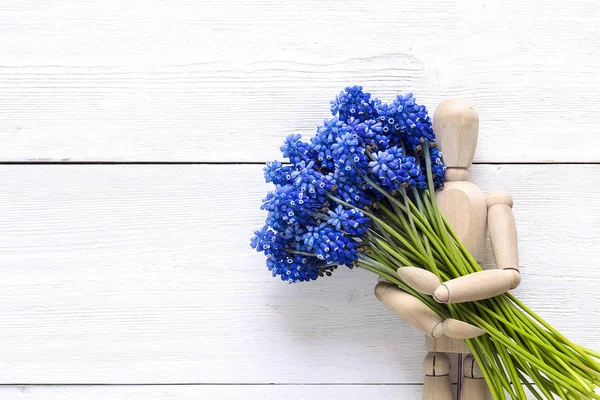 Classic wooden dummy holds blue muscari flowers on white wooden