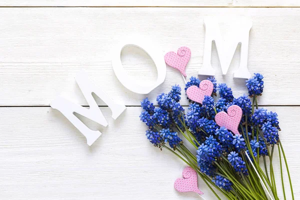 Dia das mães fundo com com flores azuis muscaries no whit — Fotografia de Stock