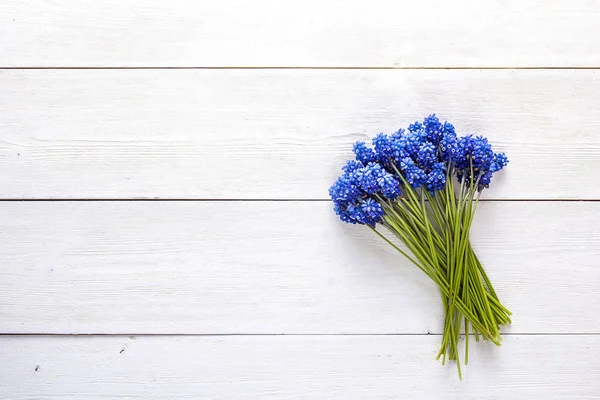 Bouquet de fleurs de muscaries bleues sur fond de bois blanc. Pl — Photo