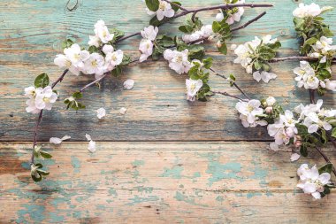 Eski ahşap zemin üzerine çiçek açması elma ağaç dalları. SP kopyalama