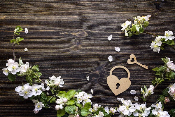 Apple blossom with decorative heart lock and key on wooden backg