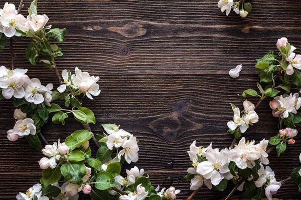 Marco de ramas de manzano en flor sobre fondo de madera oscura —  Fotos de Stock