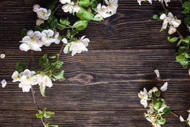 Çerçeve koyu ahşap adam üzerinde çiçek açması elma ağacı dalı