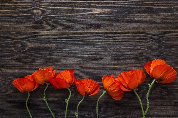 Flores de amapola bordean sobre fondo de madera oscura para saludos florales —  Fotos de Stock