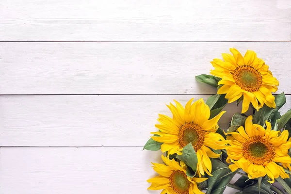 Arrière-plan avec un bouquet de tournesols jaunes sur peint blanc — Photo