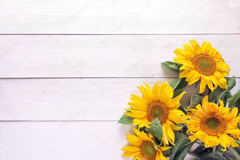 Background with a bouquet of yellow sunflowers on  white painted