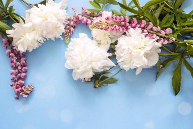 Beyaz peonies ve pembe kurt çiçekler ile mavi arka plan.