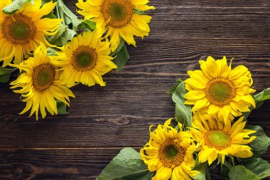 Koyu ahşap zemin üzerine sarı ayçiçeği. Kopya alanı.
