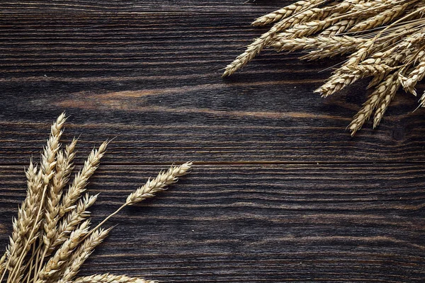 Arka plan buğday koyu ahşap kurullarında kulaklı.