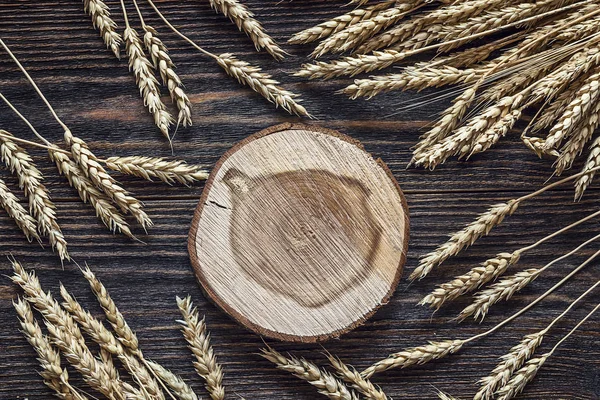 Cross section of the tree with ears of wheat on the dark wooden