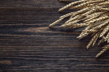 Arka plan buğday koyu ahşap kurullarında kulaklı.