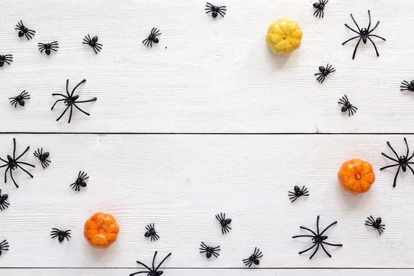 Decorative black spiders and small pumpkins on white wooden boar — Stock Photo, Image