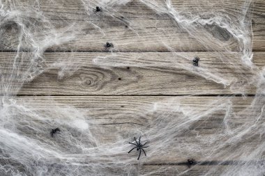 Dekoratif ürpertici web ve örümcekler o Cadılar Bayramı arka plan