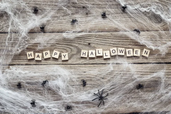 Fond d'Halloween avec toile effrayante décorative et araignées sur o — Photo