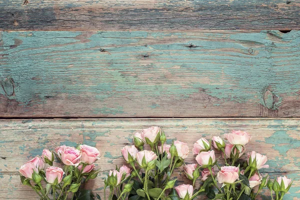 Pequeñas rosas rosadas en viejas tablas de madera azul. Espacio para texto . — Foto de Stock