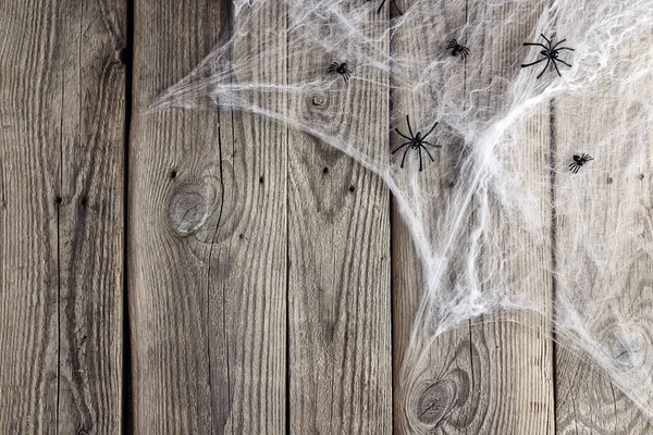 Halloween background with decorative creepy web and spiders on o