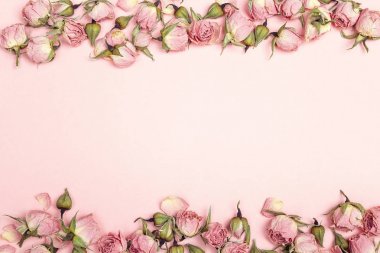 Küçük kuru gül pembe bir arka plan üzerinde sınır. Metin için yer. 
