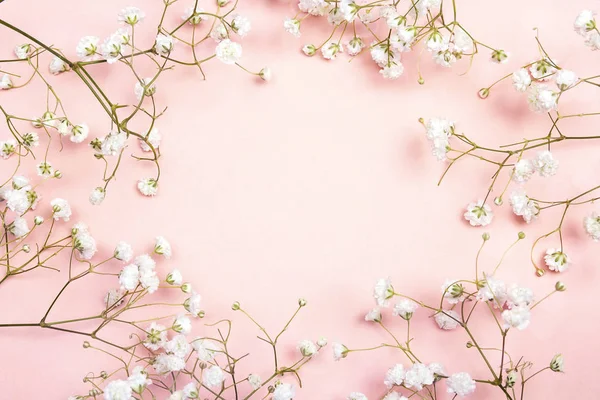 Cornice di delicati fiorellini bianchi su sfondo rosa da un — Foto Stock