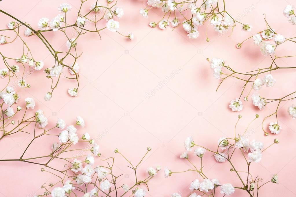 Frame of delicate little white flowers on pink background from a