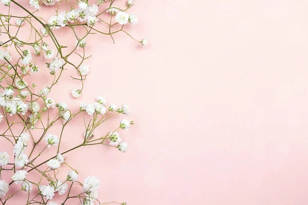 Кордон з ніжних маленьких білих квітів на рожевому тлі з — стокове фото