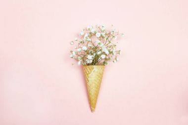 Gözleme koni ile gypsophila çiçek pembe bir arka plan üzerinde.