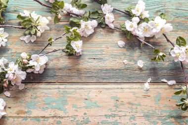Eski ahşap zemin üzerine çiçek açması elma ağaç dalları. SP kopyalama