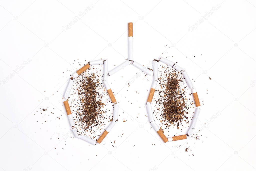 Broken cigarettes and tobacco in the form of lungs on white back