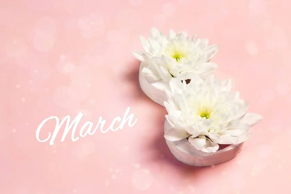 International Women's Day background with chrysanthemum flowers  in the form of eight. March 8.