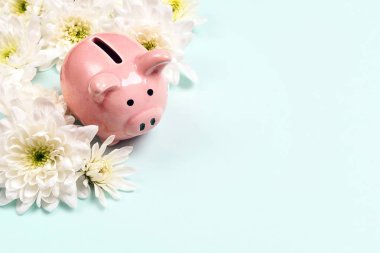 Piggy bank with chrysanthemum flowers on blue background. Copy space. clipart