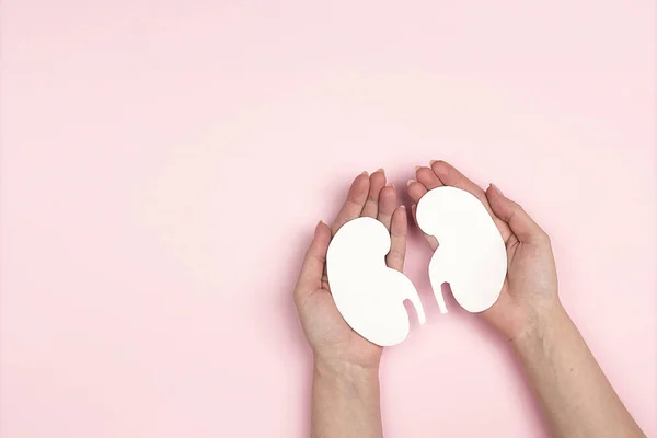 Pembe arka planda beyaz insan böbreği sembolü tutan kadın eller. Dünya Böbrek Günü. Böbrek sağlığı konsepti. Düz konum, metin için kopyalama alanı olan üst görünüm.
