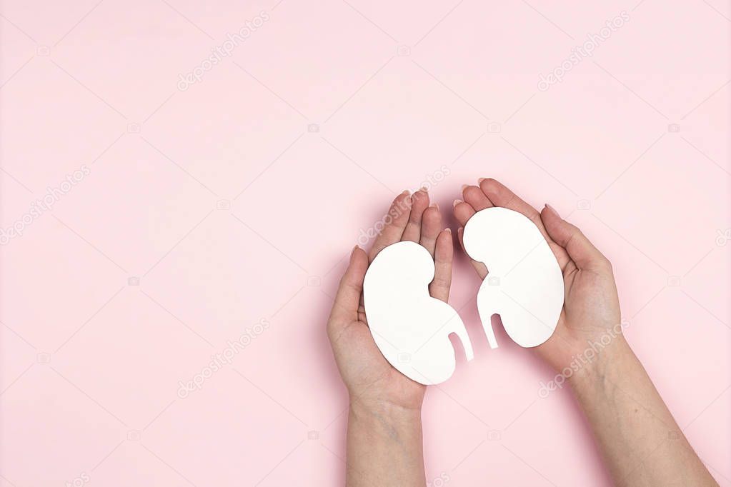 Female hands holding white human kidney symbol on pink background. World Kidney Day. Kidney health concept. Flat lay, top view with copy space for text.