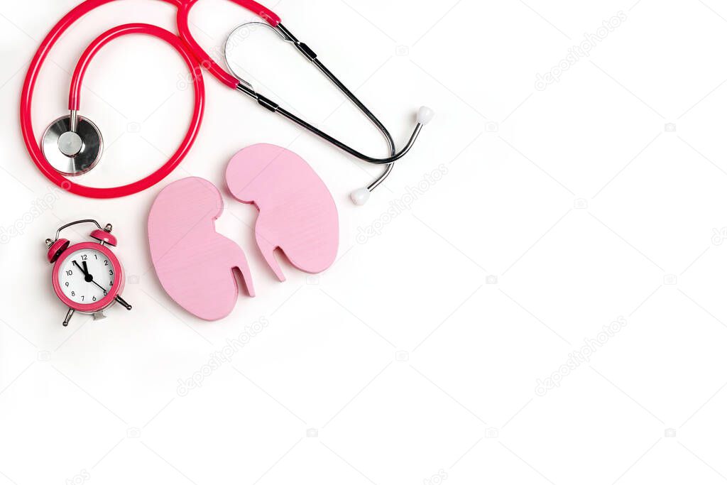 Human kidney symbol with stethoscope and alarm clock on white background. World Kidney Day. Kidney health concept. Flat lay, top view.