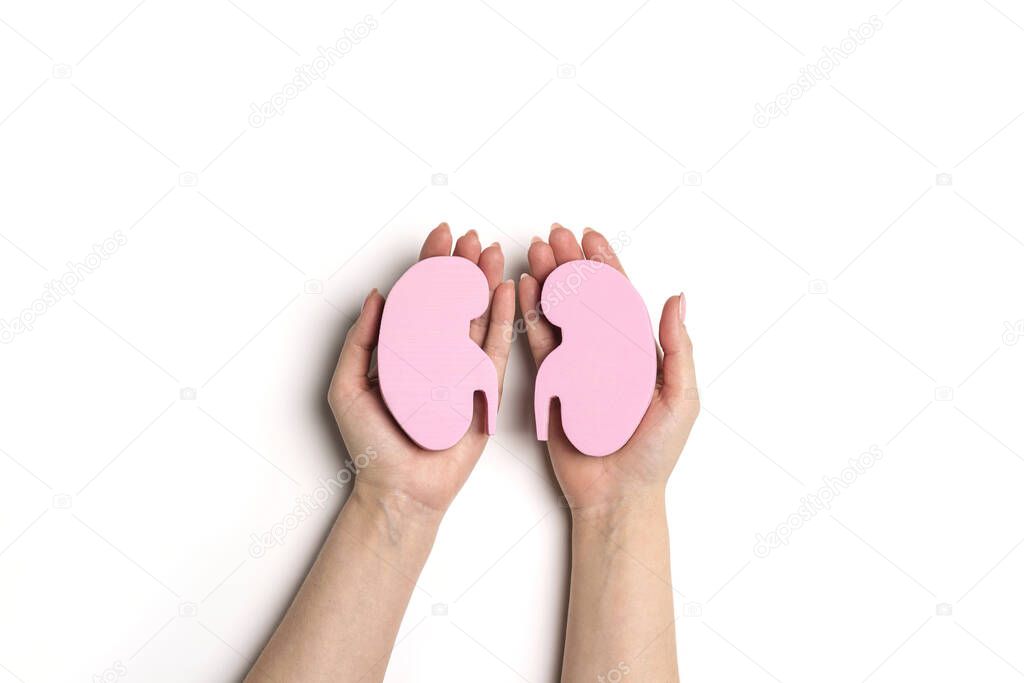 Female hands holding pink human kidney symbol on white background. World Kidney Day. Kidney health concept. Flat lay, top view with copy space for text.