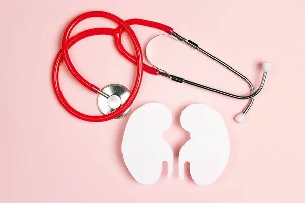 Human kidney symbol with stethoscope  on white background. World Kidney Day. Kidney health concept. Flat lay, top view.