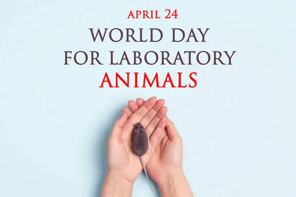 Världsdagen För Laboratoriedjur Den April Kvinnliga Händer Med Laboratoriemus Blå — Stockfoto