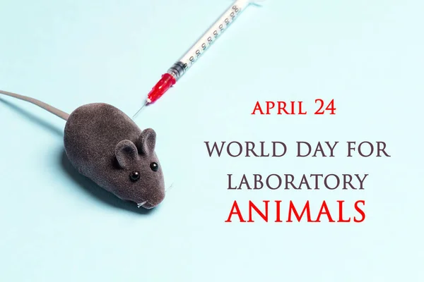 Världsdagen För Laboratoriedjur Den April Laboratoriemus Och Spruta Blå Bakgrund — Stockfoto