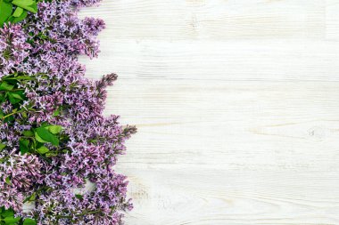 Hafif ahşap arka planda leylak çiçekleri. Üst görünüm, düz görünüm, kopyalama alanı. Bahar çiçekleri.